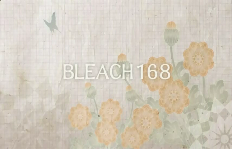 bleach diamond dust rebellion  english dubbed